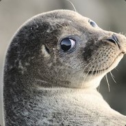 n0mlet