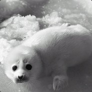 lir0i