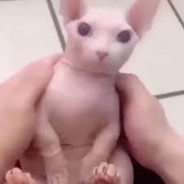 ArkBeastttt