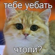 Котейкин