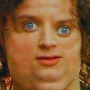 FrodoFaggins