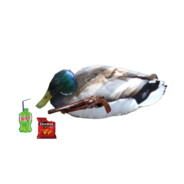 GamerGodQuack