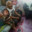 Group Avatar