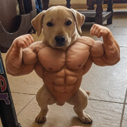 JIJOREX