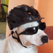 DNRK97