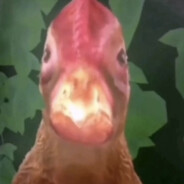 Superchicken