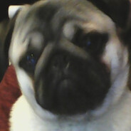 THEPUG
