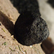 Hraballitto