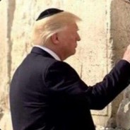 king_alpacalard