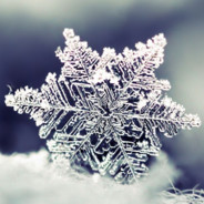 Sneaux