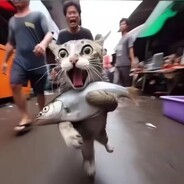 从不贪枪