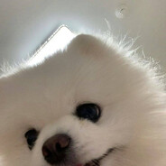 baqqu<3