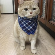 嗨。