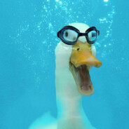 patosaz