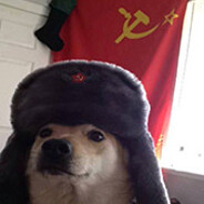 dog player