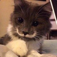 poti 2