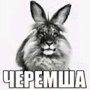 Черемша