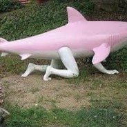 middle shork