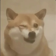 DOGGGGG