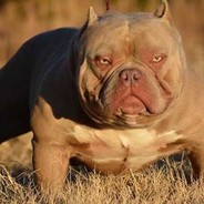 海淀少年宫第一嘴炮