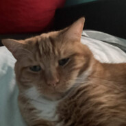 Fonsi