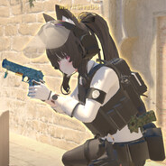wdy