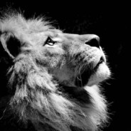 Mufasa