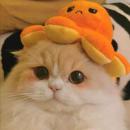 qqq