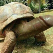 Stoned Dude
