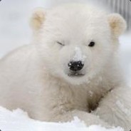 Arcticseabear