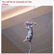 yeeted'd'