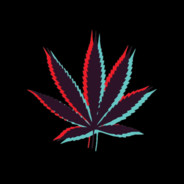 [L e o N]