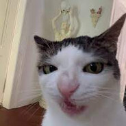 Bazinga