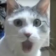 ⊙ω⊙𝕖𝕞𝕪⊙ ⊙