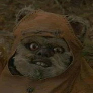 Yub Nub