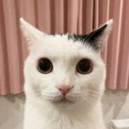 Xx_NUGGET_xX