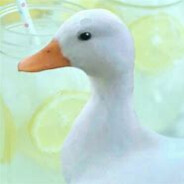 TheDuckLover