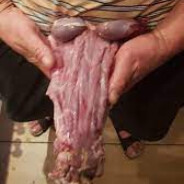 Cipeczka Azjatki