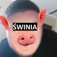 MR. ŚWINIOLD