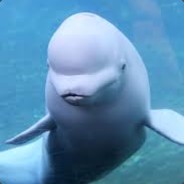 Puga Beluga