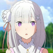 Emil1aQAQ