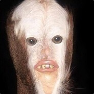 LongHairedFawk