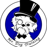 Mr.Dog (Official)