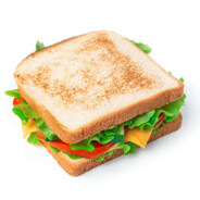 idiot sandwich