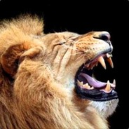 RoAr!