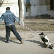 деил
