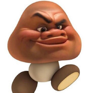 grzyb