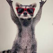 Raccoon