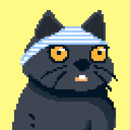 裤衩猫工作室