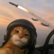 cat plane